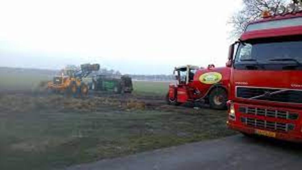 trekkers in het veld