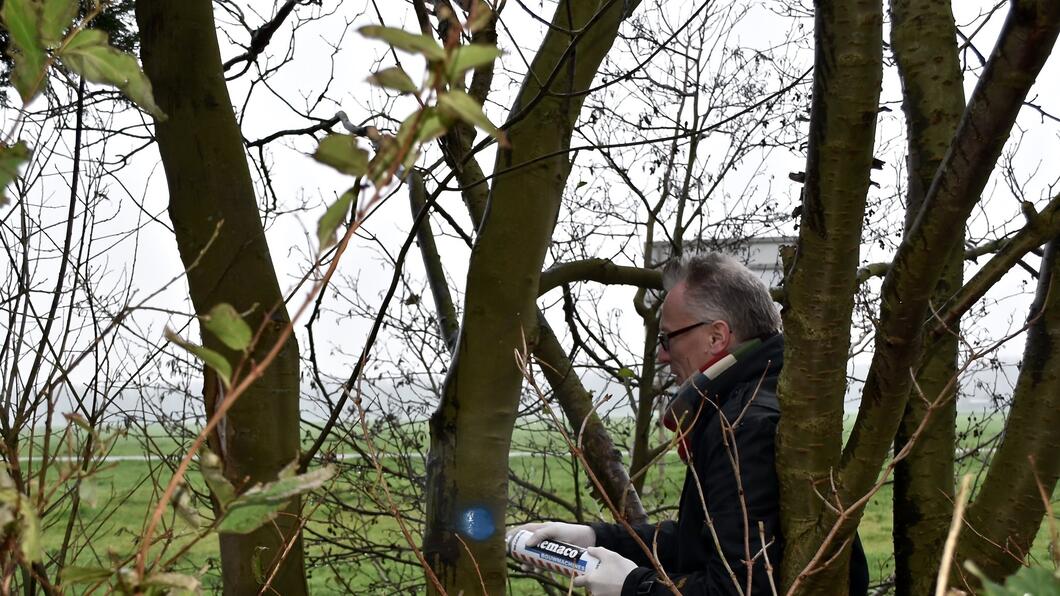 bomen checken