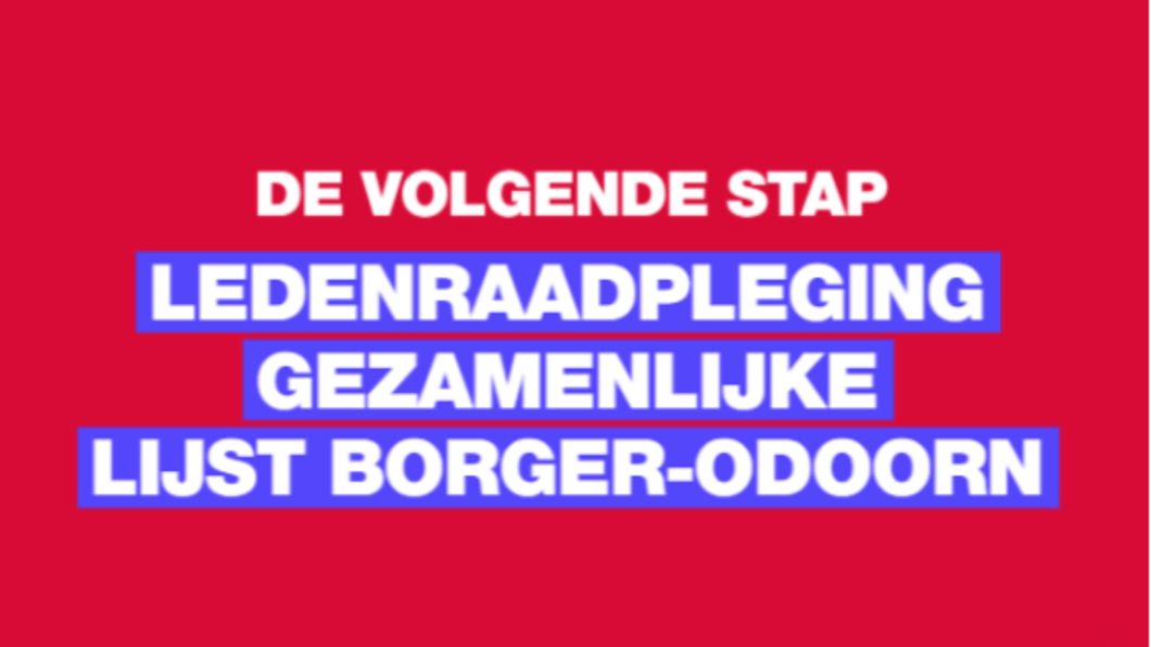 ledenraadpleging